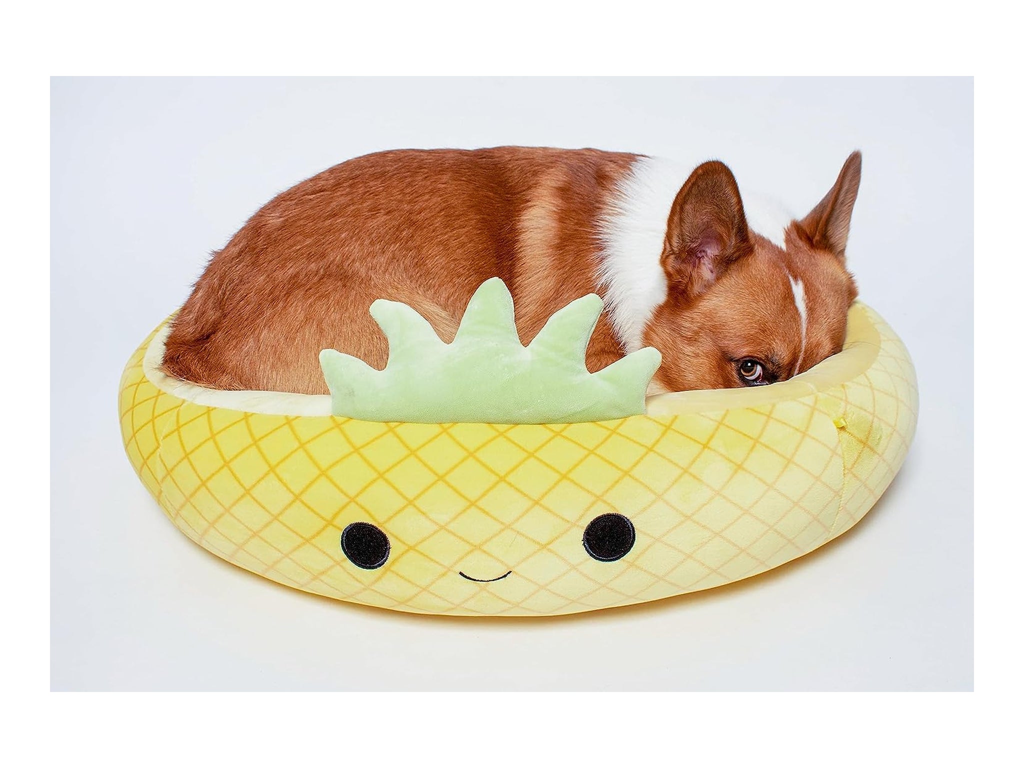 Pineapple bed clearance for dogs